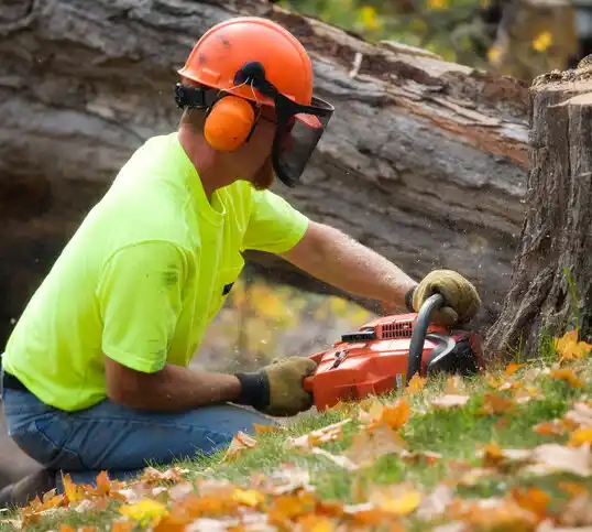 tree services Harriman